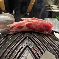 金山成吉思汗 - 