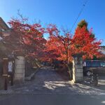 よろずや - '24/11/29 稲荷山 勝林寺