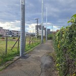 キッチン ブルー グローブ - 最近、建てた様子