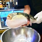 活魚居酒屋 マルフク - 