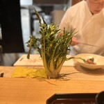 古汲 - プンタレッラ