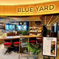 BLUE YARD - 