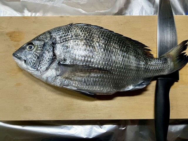 スーパーシシド 相馬リボン店（CCD） - 相馬（コンビニ・スーパー）の写真