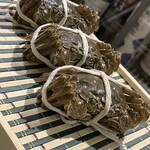 HIYACHU BAR 群青 - 