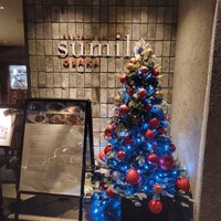 スミレオオサカ - クリスマスツリー