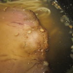 旅の途中 - しおのアップ