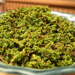 緒方 - これは花山椒の生です。