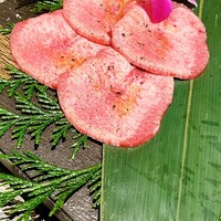 極上松阪牛 樹一 - 