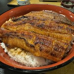 うな勢 - 「将軍丼」