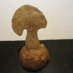 ル・タン・ペルデュ - セップ茸のクッキー