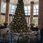 ザ・テラス - ホテルではクリスマスの装飾が至るところに