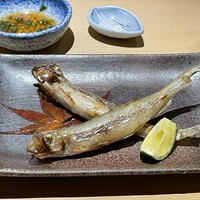 神楽坂 鮨 りん - 