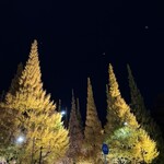 Royal Garden Cafe 青山 - 