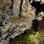 Royal Garden Cafe 青山 - 