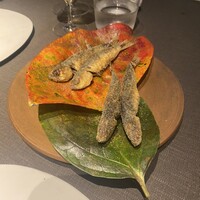 メシモ - 