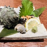 はるら - サザエの刺身