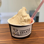 ジェラテリア MORI COFFEE 2 - ピスタチオとラムレーズンをチョイス