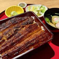 炭焼 うな富士 有楽町店 - 上うな重