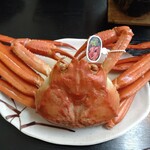 かに八代 れんが亭 - タグ付香住ガニ丸々1杯
