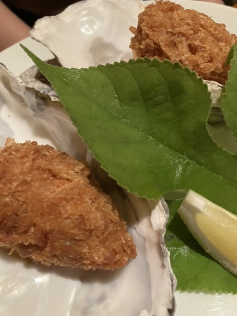 Sasa Hana Hanakoganei photo 5