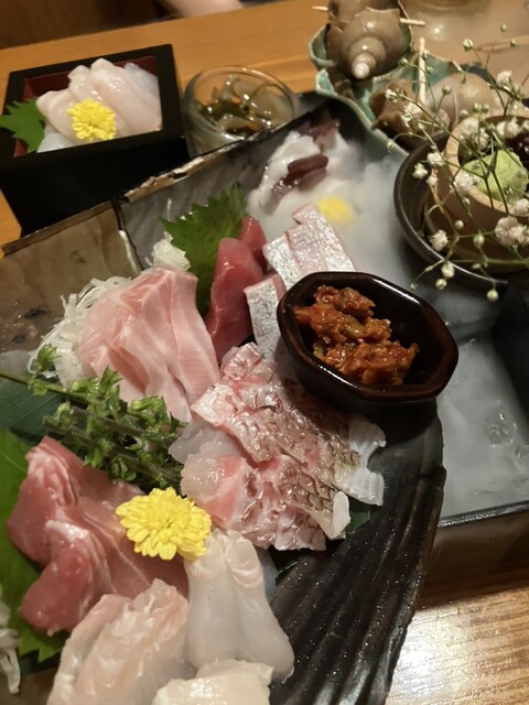 Sasa Hana Hanakoganei photo 3