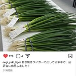 ネギヤキタイガー - 品評会にも出品しておられる自信作。
