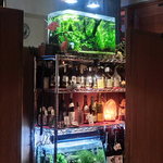 炭火焼肉彩火 - 熱帯魚水槽で癒されます。お子様にも人気。