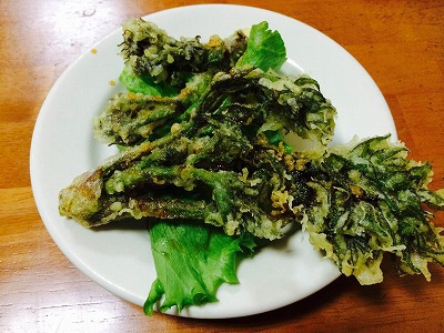 あおい食堂 name=