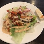 カーン・ケバブ・ビリヤニ - サラダ