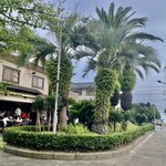 珊瑚礁 - 少し遠目からだと南国風な雰囲気