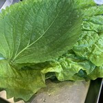 韓国料理&BBQ ペゴッパヨ - 