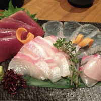 KOiBUMi - 
