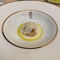 SALONE TOKYO - 