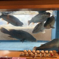 中洲鷹勝 本店 - 