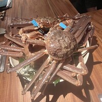 マキノンチ - 