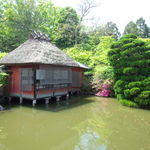 錦水亭 - 中庭の池にも