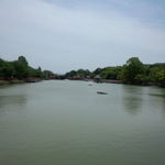 錦水亭 - 店の反体側からみた八条ヶ池