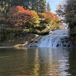 らーめん八平 - 