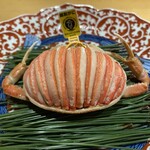 料理屋 みや﨑 - せいこ蟹　
