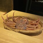274332171 - 生きてます❣️
                        