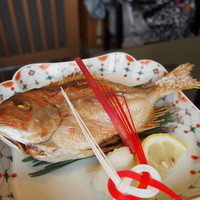 日本料理 みゆき - 