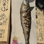 居酒屋りしり - 丸々としたニシン。
      これが小さめらしい。。、