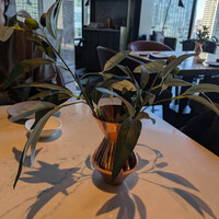 レストラン Chef's Theatre - テーブルに飾られたオリーブの樹