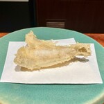 江戸前晋作 - 鱚