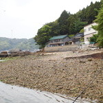 魚山人 - お魚天国に到着～☆