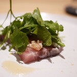 tens. - 鰤のカルパッチョ　芹