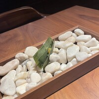 ル スプートニク - 