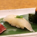 にぎり鮨 一五〇 - トラフグ