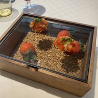デルフィーナ - 