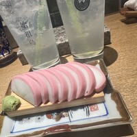 始祖鳥 - 